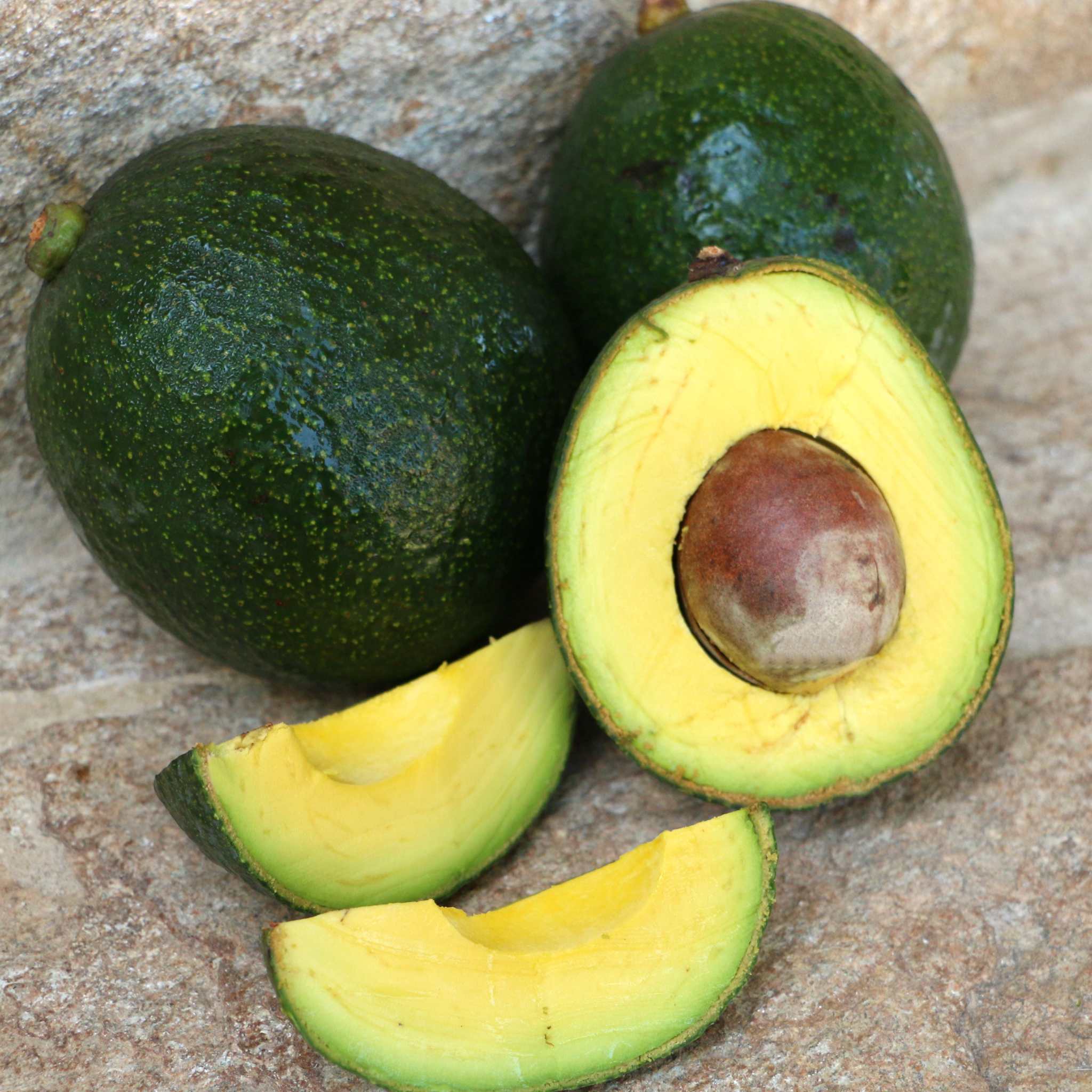 Avocados Reed / Abacate reed, Kg