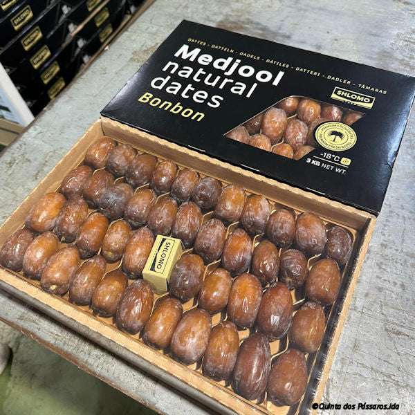 Datteln Medjool Bonbon / Tâmaras medjool Bonbon - Image 4
