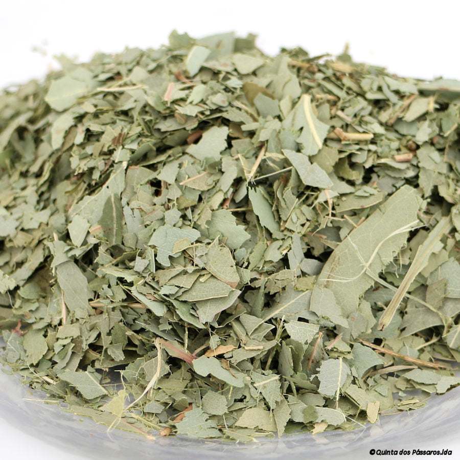 Eukalyptusblätter geschnitten / Folhas de eucalipto cortas, 100g