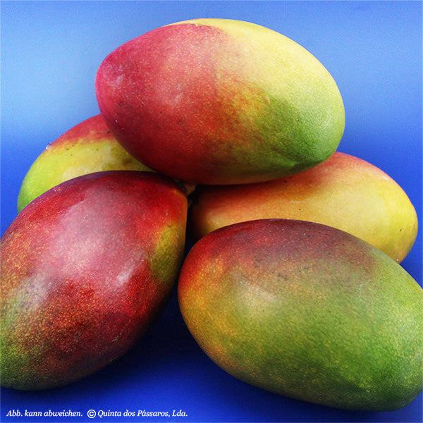 Flug-Mango / Manga avião - Image 2