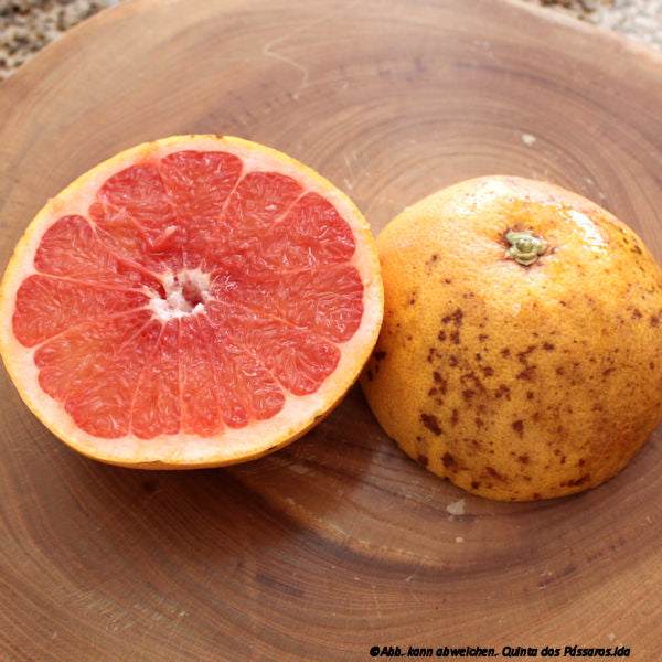 Grapefruit rose-rot / Toranja vermelha, Kg - Image 5