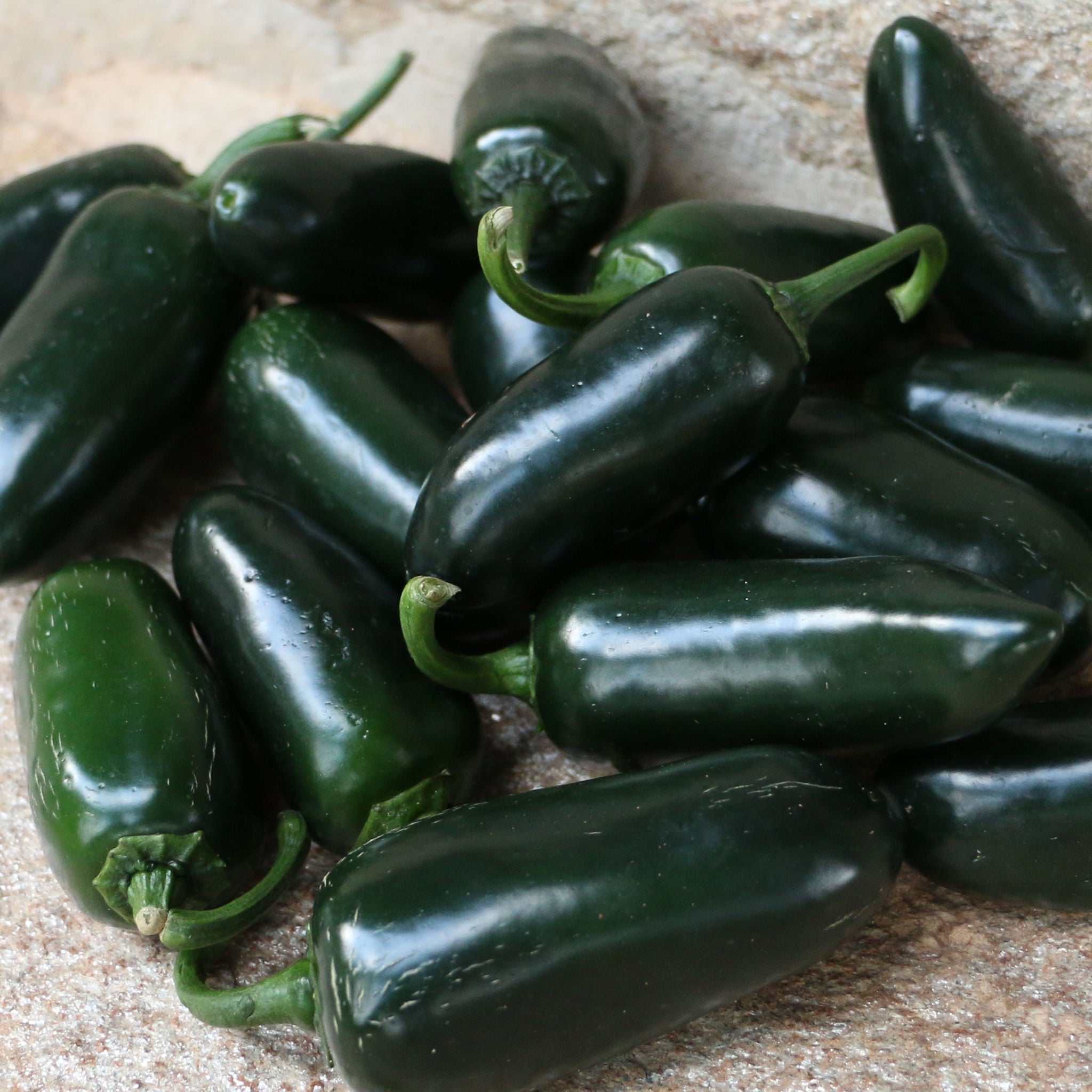 Grüne Jalapeños / Pimento jalapeño