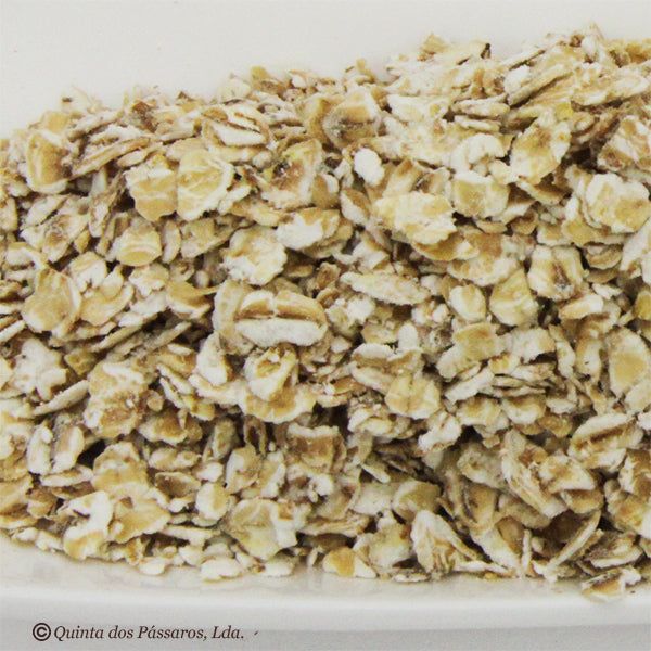 Haferflocken Feinblatt / Flocos de aveia finos, 1Kg