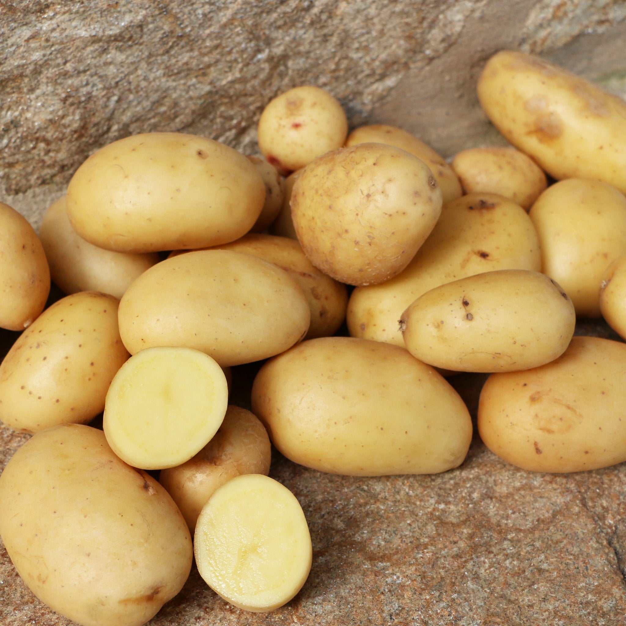 Kartoffeln kleine / Batata pequena assar, unidade