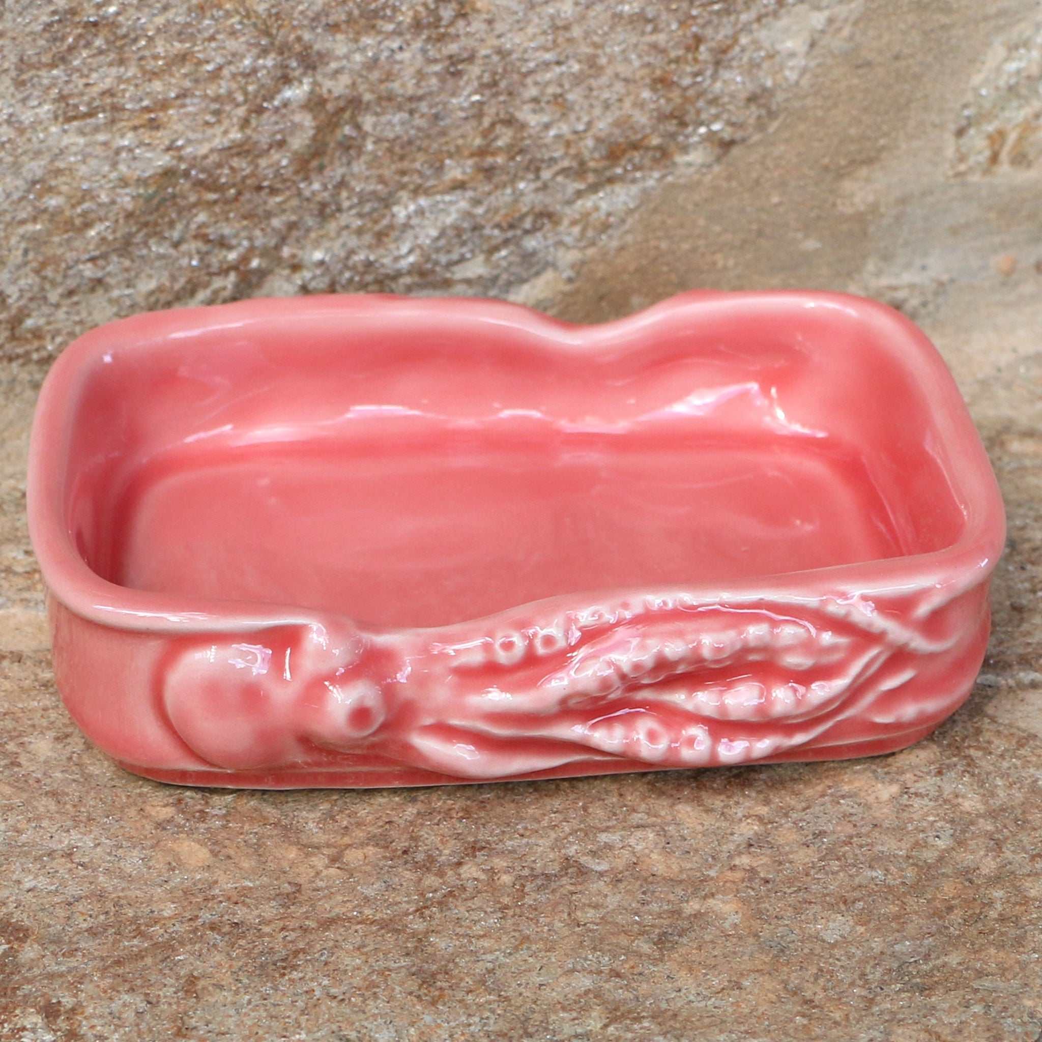 Keramikschale für Fischdosen, lachs / Taça em cerâmica polvo salmão