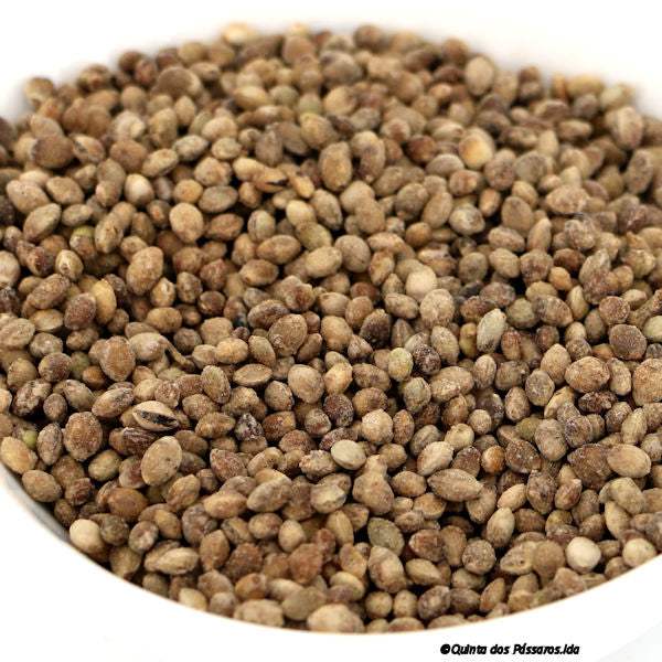 Knabber-Hanf geröstet süß / Cânhamo torrado e doce, 100g