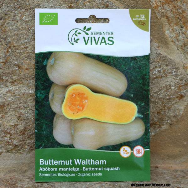 Kürbis Butternut Waltham Saatgut / Sementes de abóbora butternut, Bio, unidade