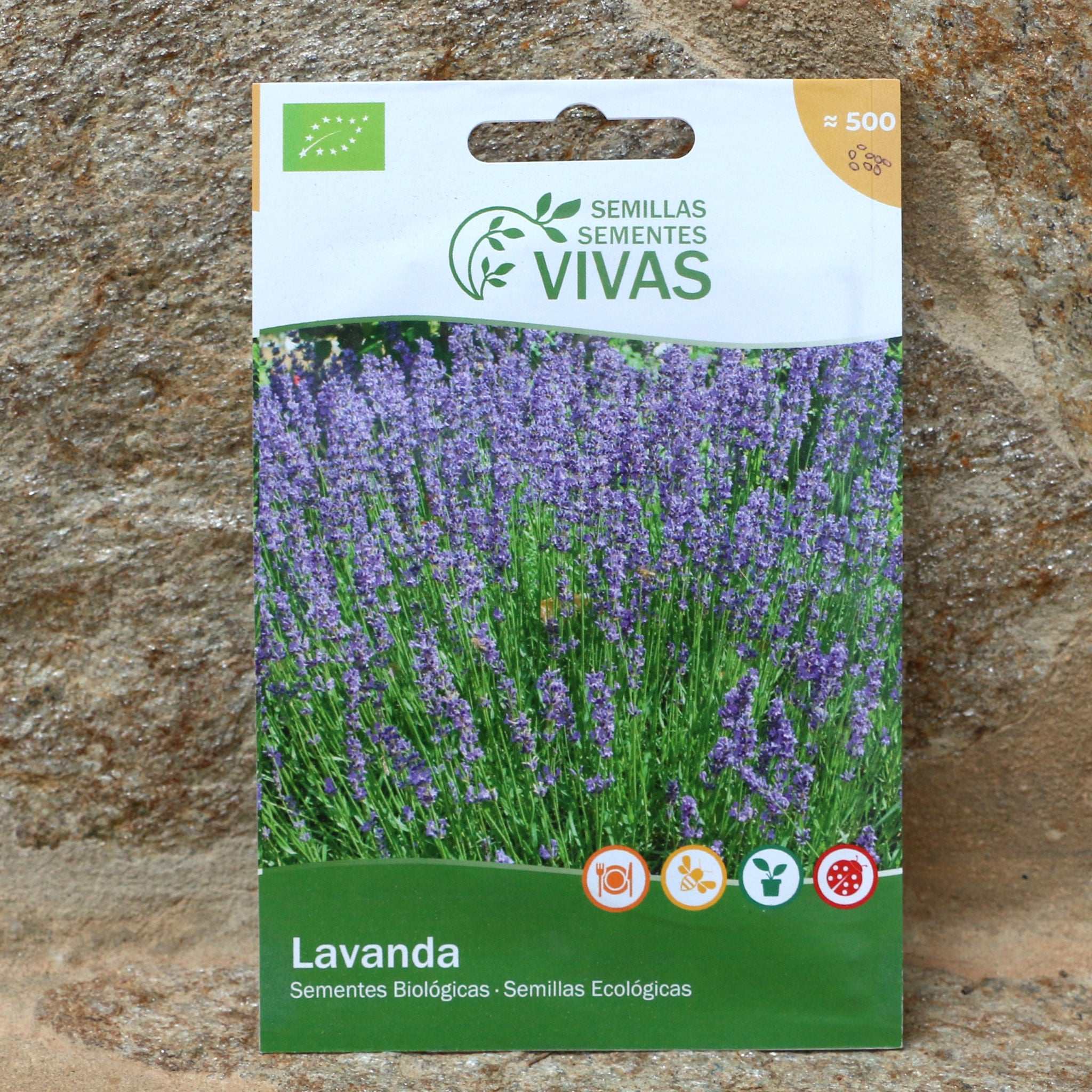 Lavendel Saatgut / Sementes de lavanda, Bio, unidade