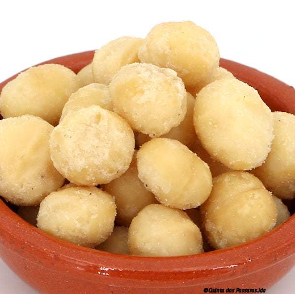 Macadamia Nusskerne geröstet & gesalzen / Macadâmia torrado, com sal, 150g