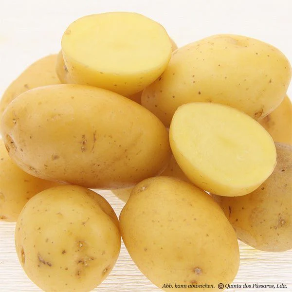 Kartoffeln junge kleine / Batata nova 35-45 mm - Image 2