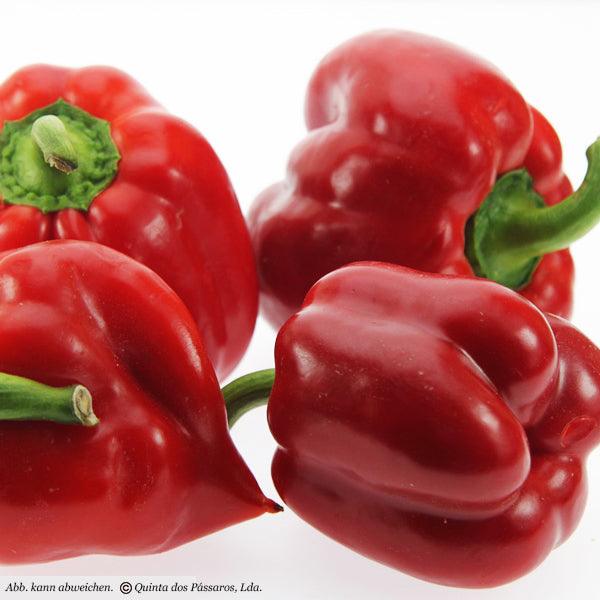 Paprika rot / Pimentos vermelhos, unidade
