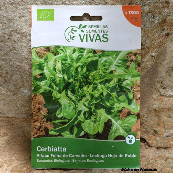 Salat Cerbiatta Saatgut / Sementes de alface cerbiatta, Bio, unidade