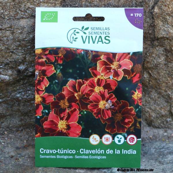 Tagetes Blumen Saatgut / Sementes de cravo-túnico, Bio, unidade