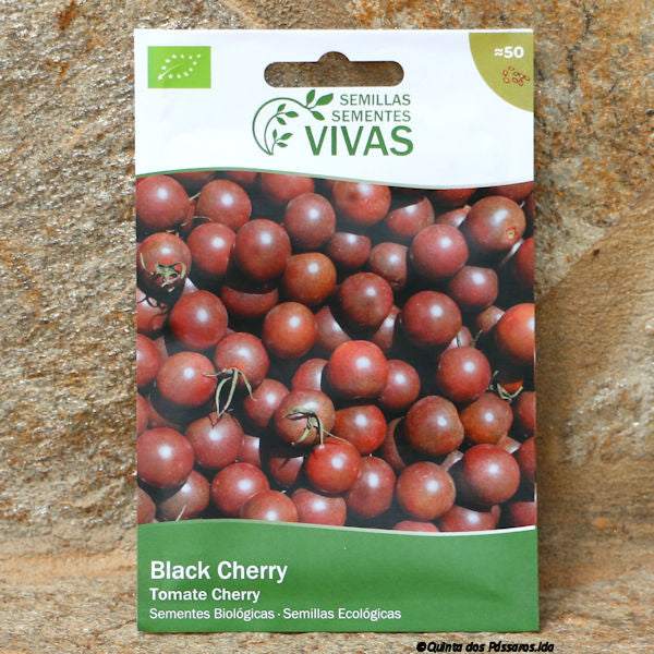 Tomate Black Cherry Saatgut / Sementes de tomate black cherry, Bio, unidade