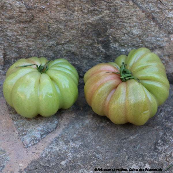 Fleischtomaten grün-rot / Tomate monte rosa, unidade - Image 2